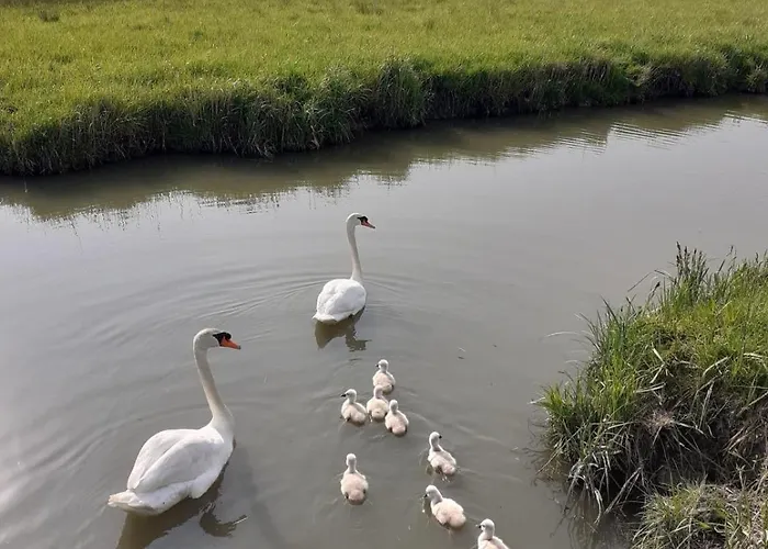 La L'oiseau Bleu Proche De La Et De Deauville !!! Awards 2025 * بلونفيل سور مير