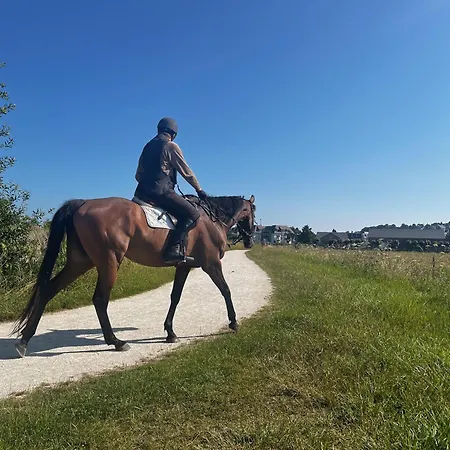 La L'oiseau Bleu Proche De La Et De Deauville !!! Awards 2025