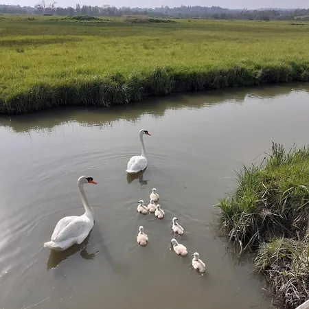 La L'oiseau Bleu Proche De La Et De Deauville !!! Awards 2025 * Blonville-sur-Mer