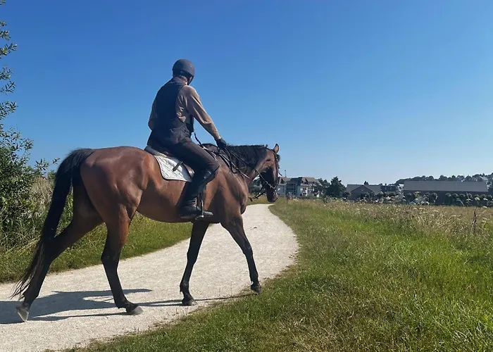 La L'oiseau Bleu Proche De La Et De Deauville !!! Awards 2025