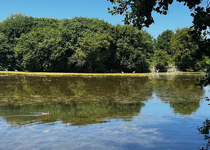 La L'oiseau Bleu Proche De La Et De Deauville !!! Awards 2025 Apartament *
